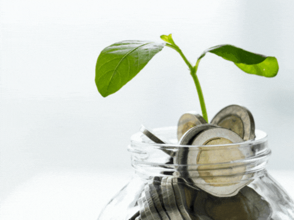 patrimonio y finanzas